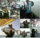 perahu mancing sidoarjo's Avatar