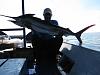 members/agusiki-albums-p1000-15-mei-2010-picture55430-my-first-marlin.jpg
